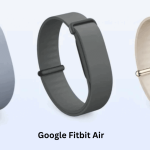 Google Fitbit Air