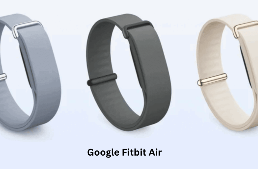 Google Fitbit Air