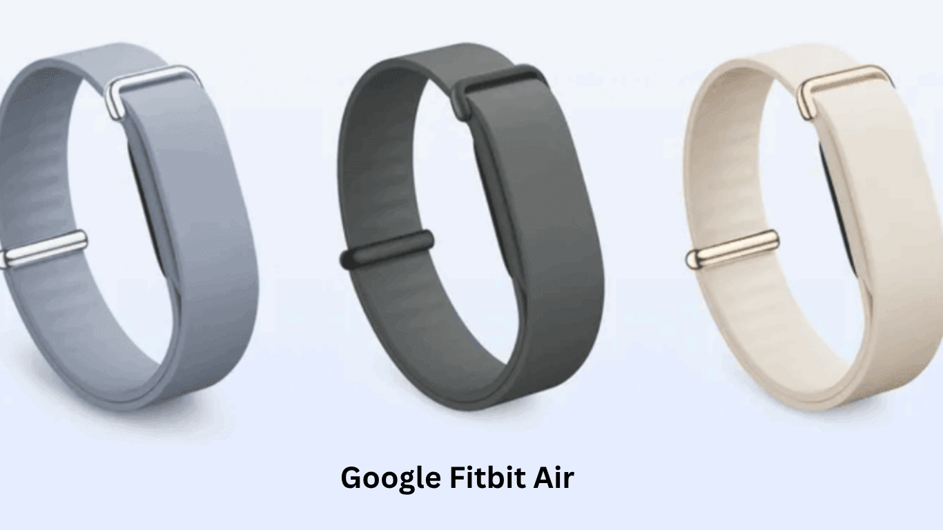 Google Fitbit Air